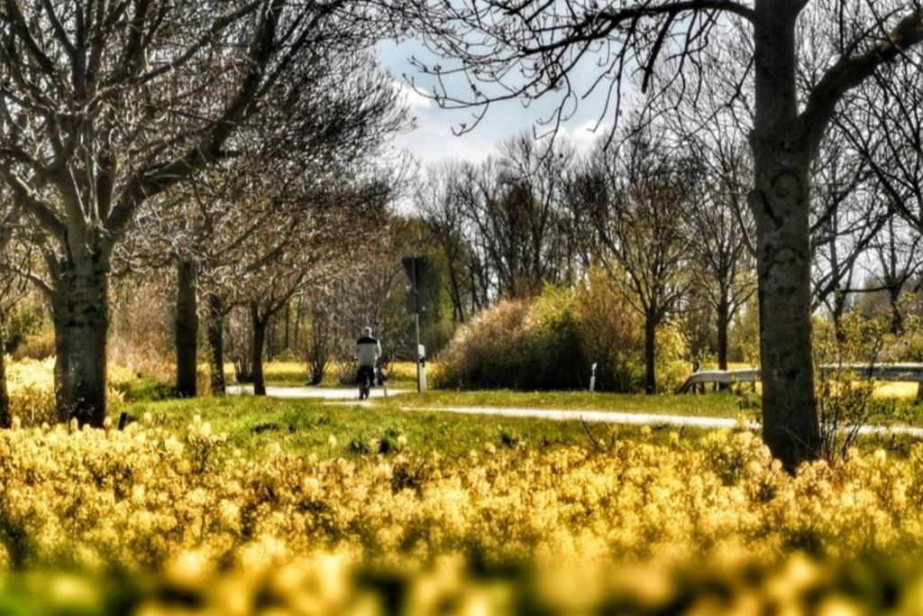 Apartmentvermittlung Mehr Als Meer - Objekt 11 Timmendorfer Strand Buitenkant foto